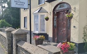 The Monkey Puzzle
